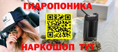 ГАЛЛЮЦИНОГЕННЫЕ ГРИБЫ Кулебаки