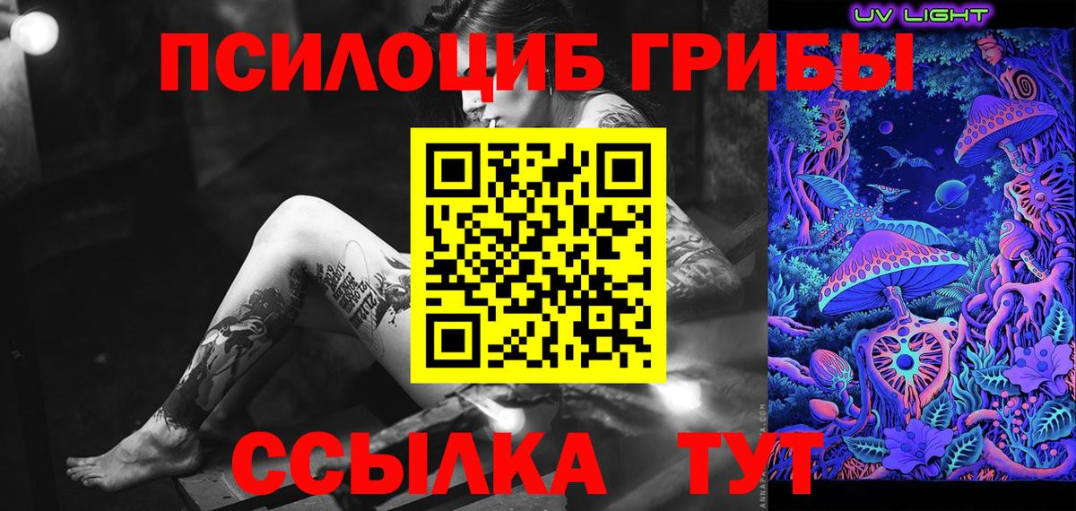 Псилоцибиновые грибы MAGIC MUSHROOMS Димитровград