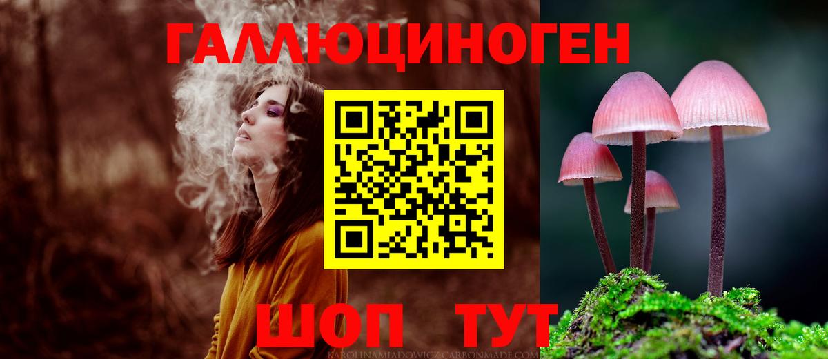 Галлюциногенные грибы Cubensis  Вход с VPN  Галлюциногенные грибы прущие грибы  Димитровград 